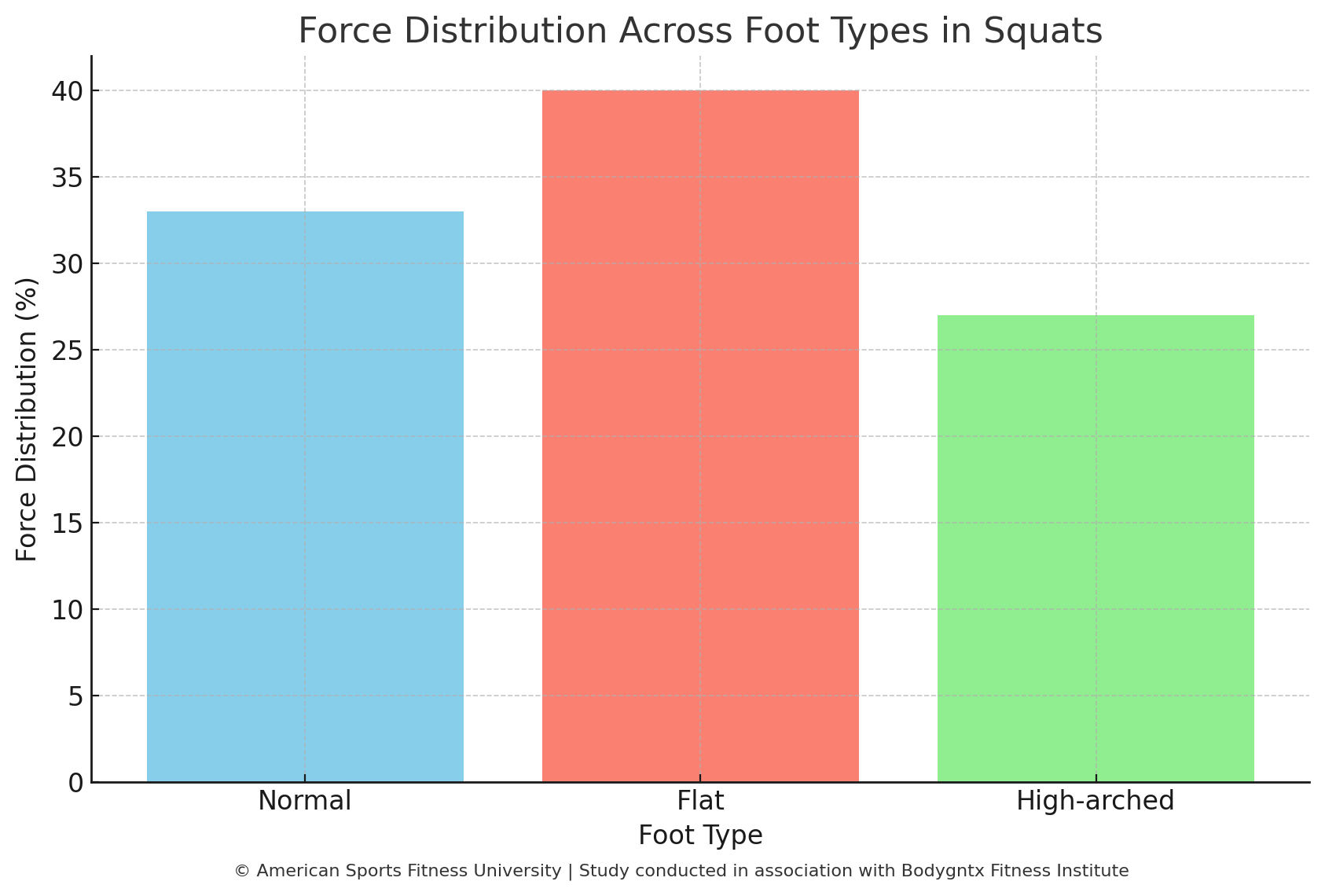 Force Distribution Across Foot Types in Squats