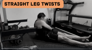 Straight Leg Twists: Sculpt Your Core & Ignite Stability (Free!)