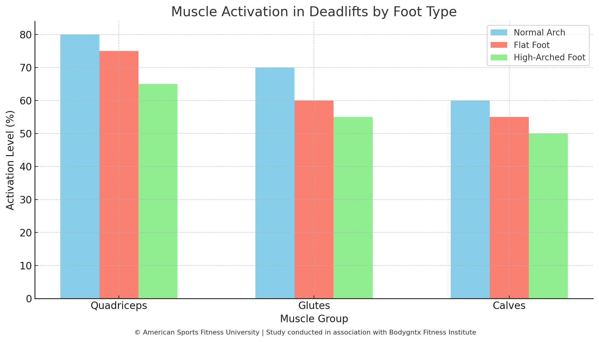 Muscle Acting in Deadlifts